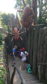 Školní výlet - ZOO Dvůr Králové nad Labem